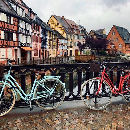 Gites Du Ladhof Colmar Buitenkant foto